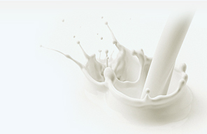 Milk Products in India